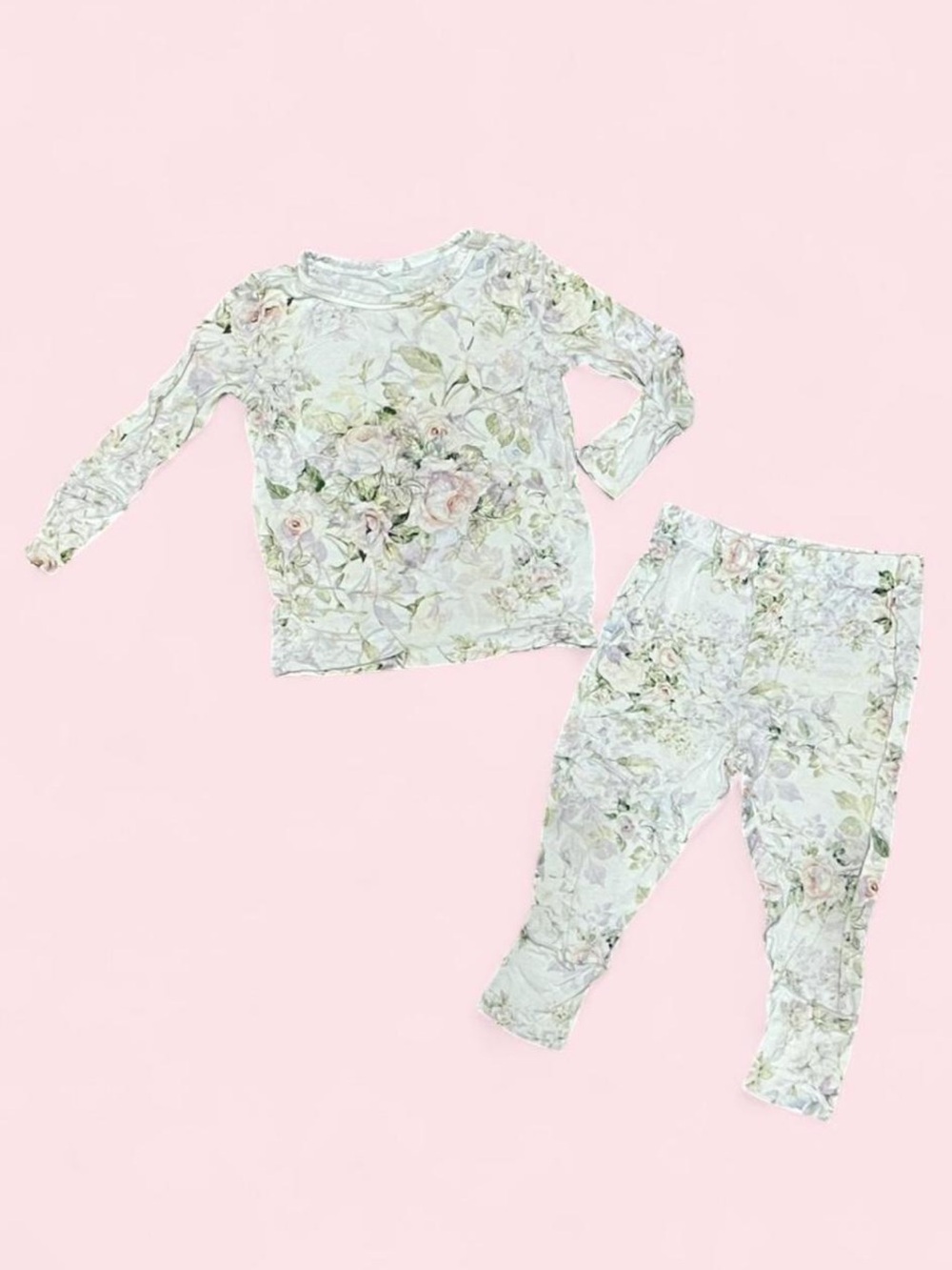 Posh Peanut 9-12M Bamboo Pajama Set Floral Rose 2pc Long Sleeve VGUC